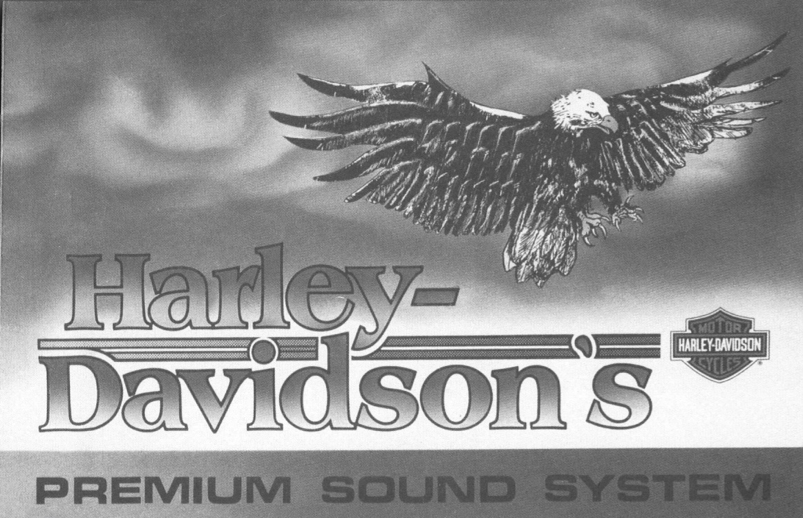 1989 Premium Sound System Owner's Manual